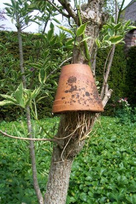 Het mysterie van de potjes